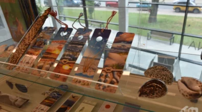 Na zdjęciu widoczna jest szklana gablota z ekspozycją zakładek do książek wykonanych z naturalnych materiałów, m.in. skóry, utrzymanych w ciepłej, brązowej kolorystyce. Zakładki mają różne kształty i faktury, a część z nich wyposażona jest w skórzane rzemyki. Wystawa prezentuje przedmioty inspirowane motywami literackimi i rzemiosłem artystycznym.