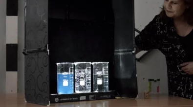 Festiwal wiedzy 12 2025 foto1