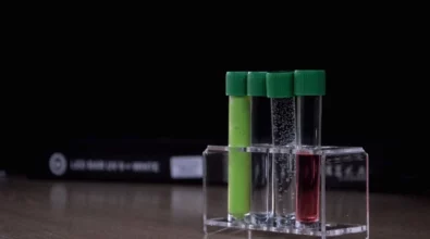 Festiwal wiedzy 12 2025 foto2