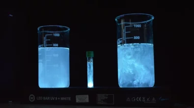 Festiwal wiedzy 12 2025 foto3