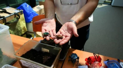 Otwarcie Mediateki Piotrkow Trybunalski foto28