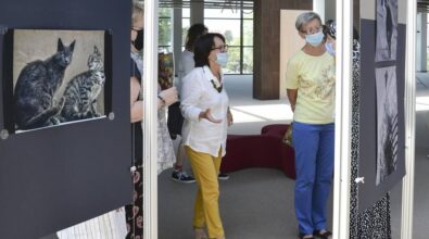 Wystawa Fotografii Marii Lauks 8