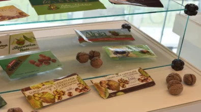 Wystawa Słodkie wspomnienia 5