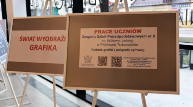 wystawa Świat wyobraźni grafika 8