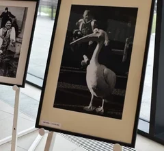 Oprawiona czarno-biała fotografia przedstawiająca dziewczynkę stojącą na jednej nodze w baletowej pozie, z uniesionymi rękami, na tle miejskiej przestrzeni. Zdjęcie ukazuje fragment wystawy fotograficznej prezentowanej w Miejskiej Bibliotece Publicznej.