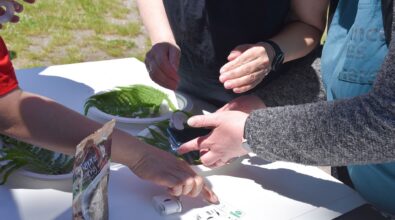 Zdjęcie przedstawia stół, na którym znajdują się liście paproci oraz niewielkie mikroskopy, które można założyć na aparat w telefonie. Jedna z osób znajdujących się przy stole ma na telefonie założony mikroskop i przymierza się do obserwacji. Zdjęcie: MBP.