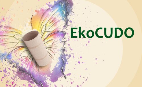 Plakat konkursu plastycznego „EkoCUDO” dla dzieci w wieku przedszkolnym oraz uczniów szkół podstawowych, utrzymany w jasnej, ekologicznej kolorystyce. Na środku widoczna jest rolka po papierze toaletowym ułożona na tle kolorowej ilustracji przypominającej skrzydła motyla, symbolizującej kreatywne wykorzystanie materiałów z recyklingu. Na plakacie znajdują się informacje o miejscu składania prac w Mediatece 800-lecia przy ul. Marii Curie-Skłodowskiej 3 w Piotrkowie Trybunalskim oraz terminie do 20 marca 2026 roku, a także logotypy partnerów i instytucji wspierających wydarzenie.