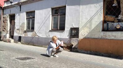 Zdjęcie na jednej z uliczek Rynku Trybunalskiego. Osoba robiąca zdjęcie kuca na brukowanej ulicy, w tle widać obdrapany budynek.