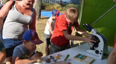 Piknik ‘Lato w mieście'.