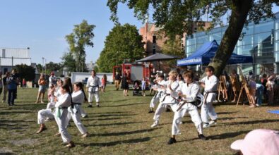 Piknik ‘Lato w mieście'.