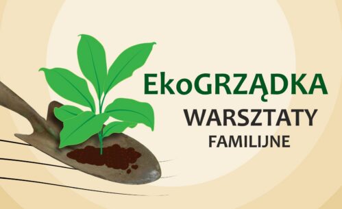 baner z tytułem warsztató